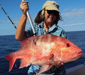 American Red Snapper on AFB Cigar Minnows