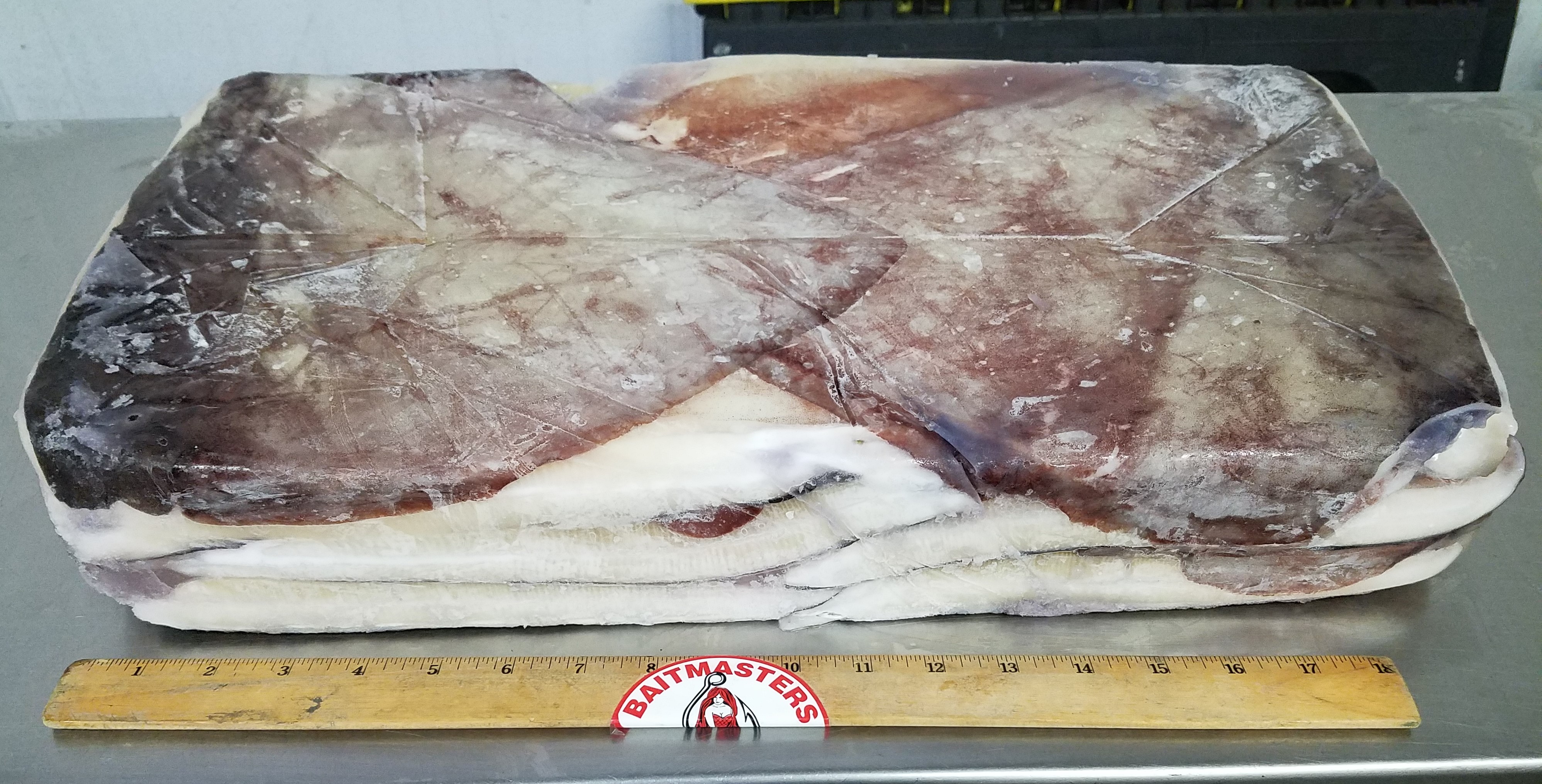 5644 – Squid Wings, 44lb (20kg) BAITMASTERS – Aylesworth's Fish
