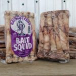 Squid – Whole – Aylesworth's Fish and Bait