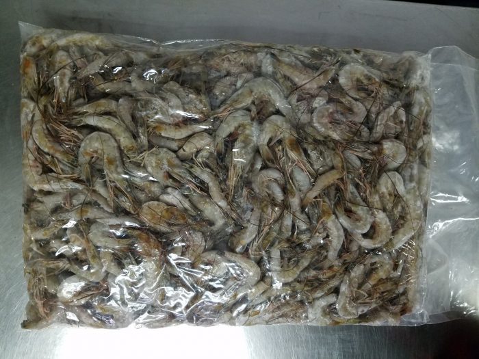 4805 – Shrimp, 5lb BAITMASTERS – Aylesworth's Fish and Bait