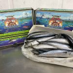 7005B - Mackerel, Boston 5lb