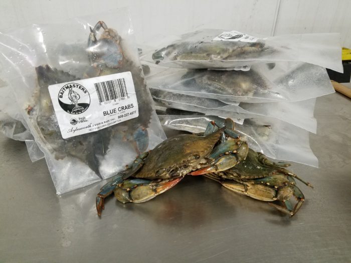 7800 – Blue Crabs, 2 pack, BAITMASTERS – Aylesworth's Fish and Bait
