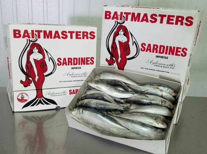 5335 – Sardines, BAITMASTERS Imported – 2 kg box – Aylesworth's Fish and  Bait