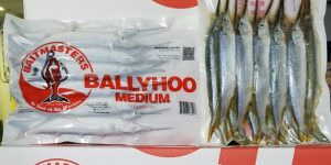 Premium Ballyhoo