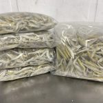 5136 - Silversides, 2lb