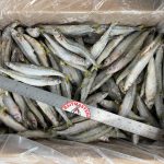 5140P - Smelt, Peruvian, 20lb